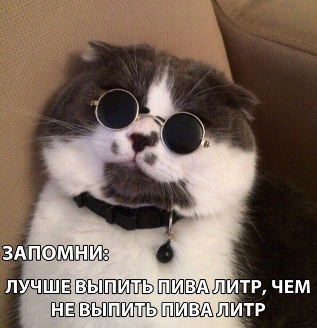 Нестандартный юмор