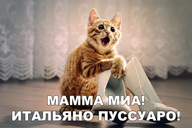 Немного милоты