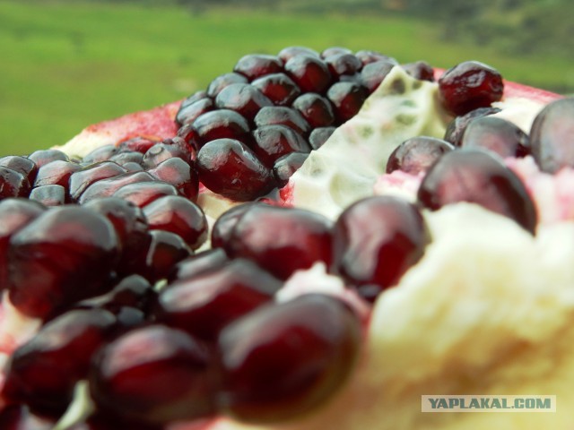 Селедка под шубой - 2019