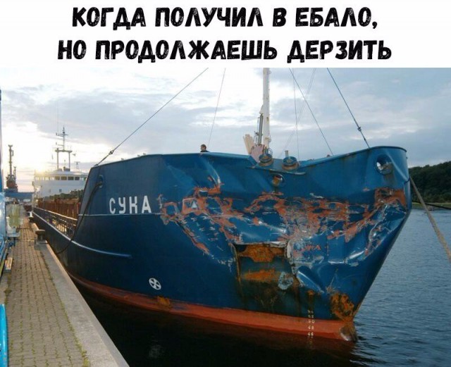 Прикольные картинки абавсём