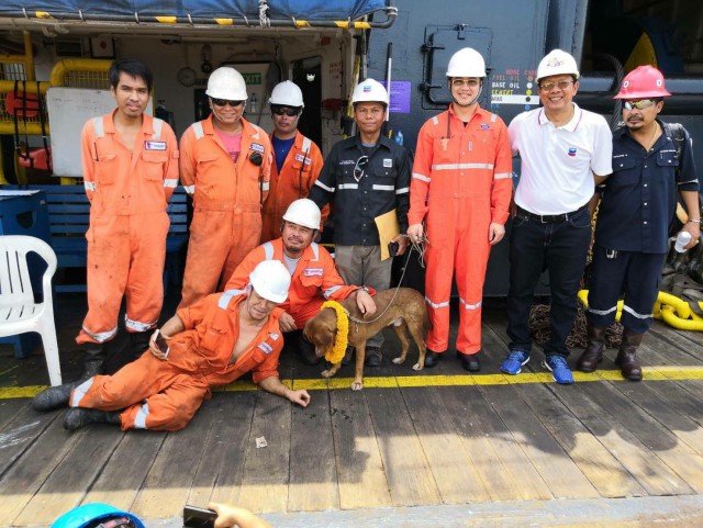 Тайские нефтяники спасли собаку