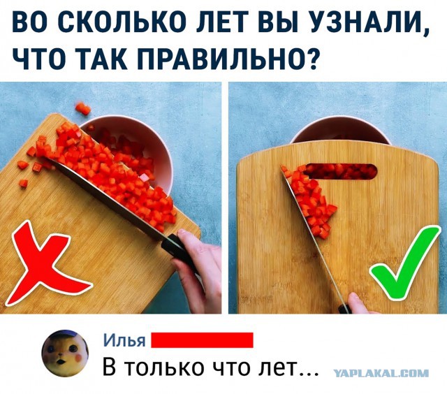 Чуток картинок 11.06.19