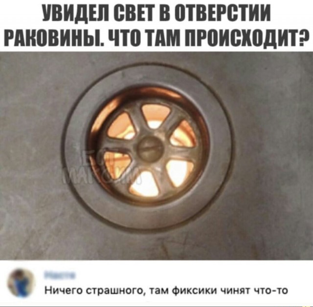 Применим физику в постели или белка и стрелка. Картинки