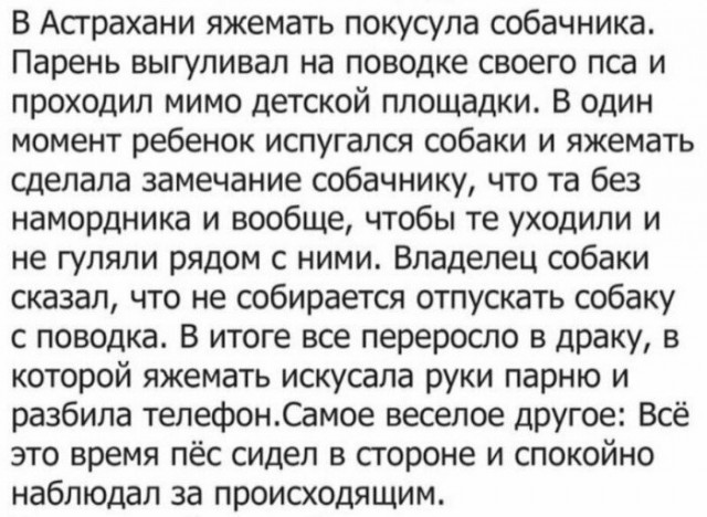 "Родишь - поймешь": 17 ошалевших ЯЖЕМАТерей, которые не знают меры