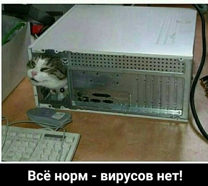 Немного картинок для настроения 29.10.19