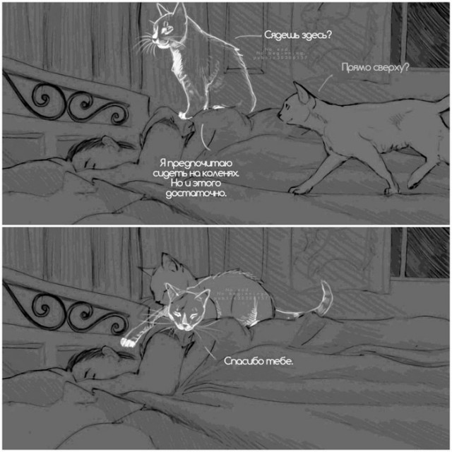 Краткосрочный отпуск с Радуги