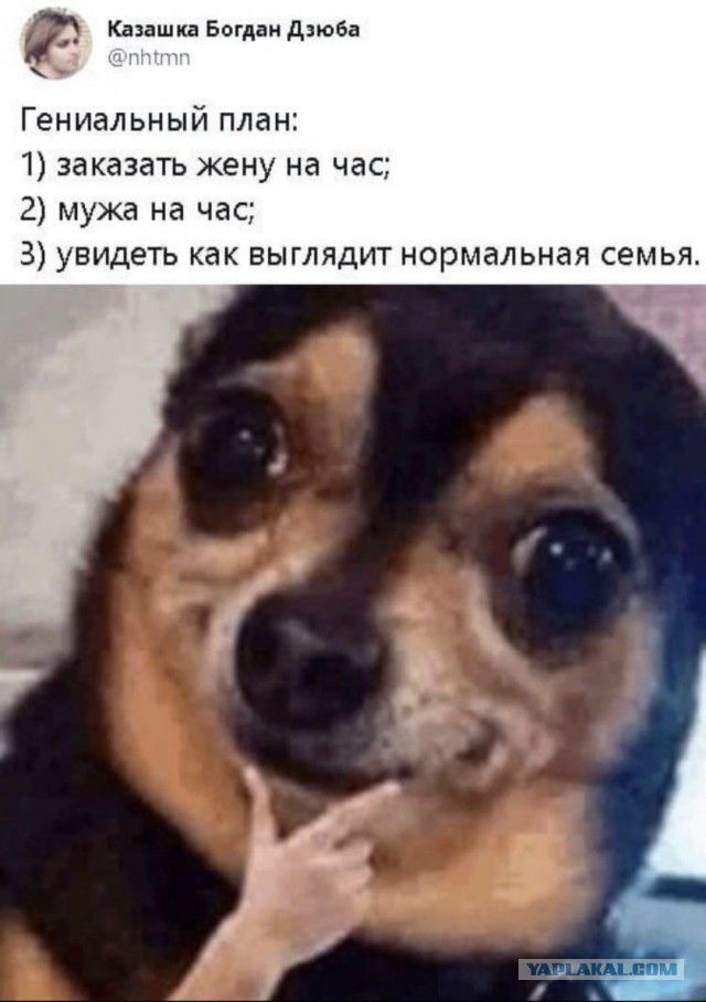 Бредзона 21.02.2020