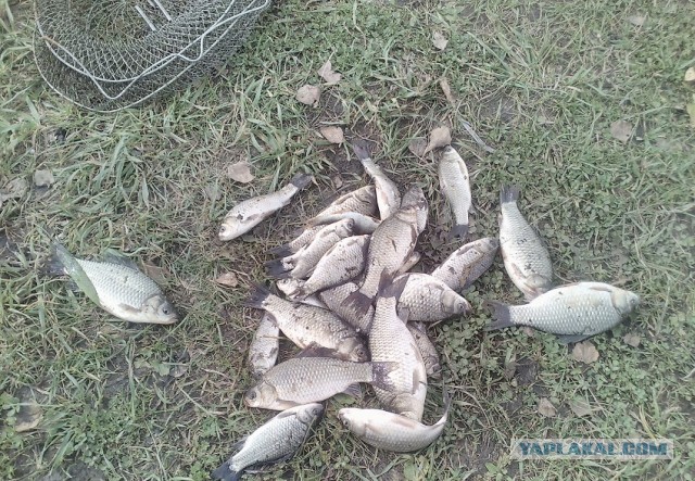 Рыбалка и дорога на рыбалку