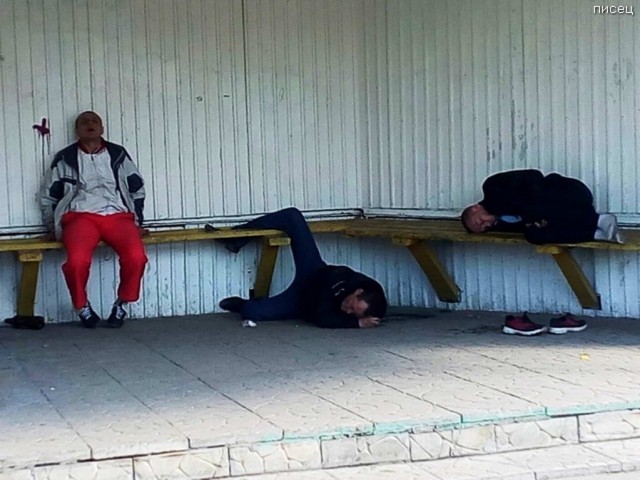 Скотсети и прочие интернеты 12.08.2020