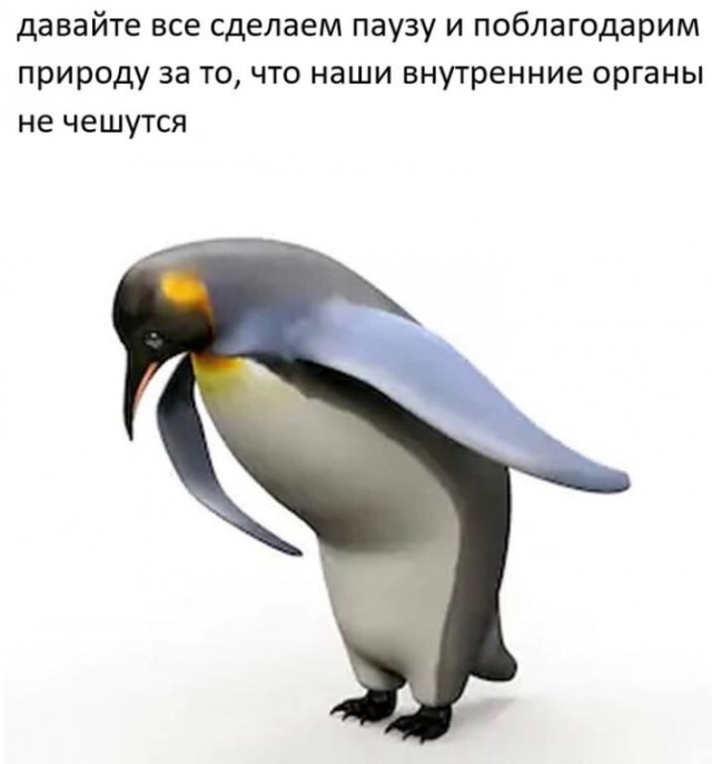 Бредзона 28.08.2020