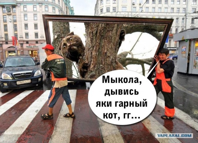 Фотожаба: Переносчики картины