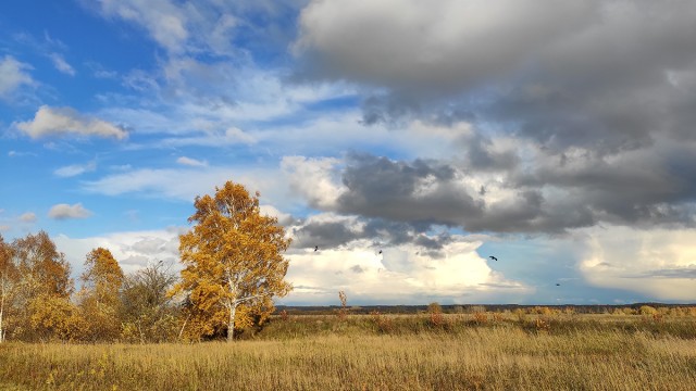 Новосибирская осень. Фотокарточки