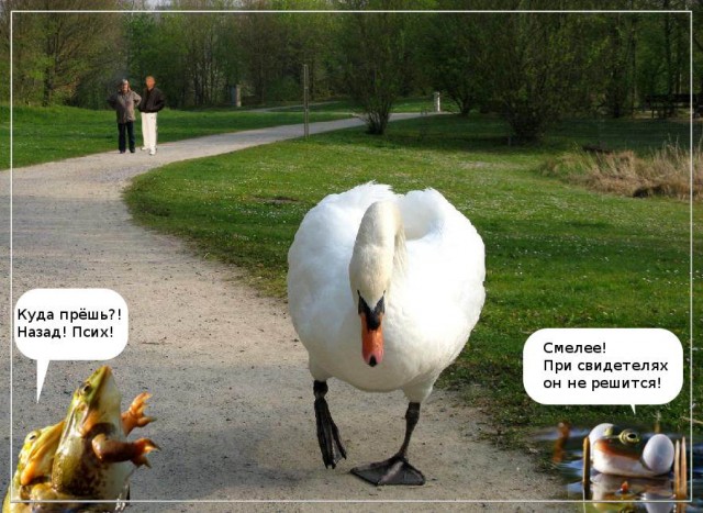 Фотожаба: Я от дедушки ушел, я от бабушки ушел