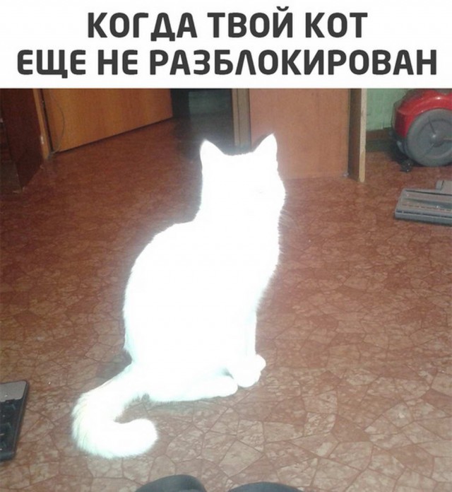 Картинок вам на утро