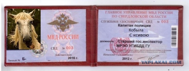Странный момент запечатлели на камеру: Омоновцы чуть не задержали мужчину, но тот стал что-то показывать и парня отпустили