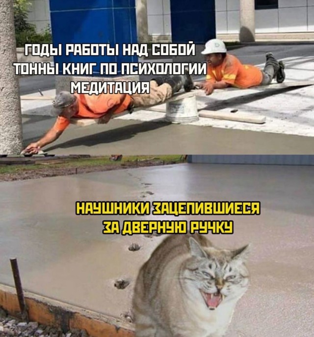 Весёлый полтишок 17.03