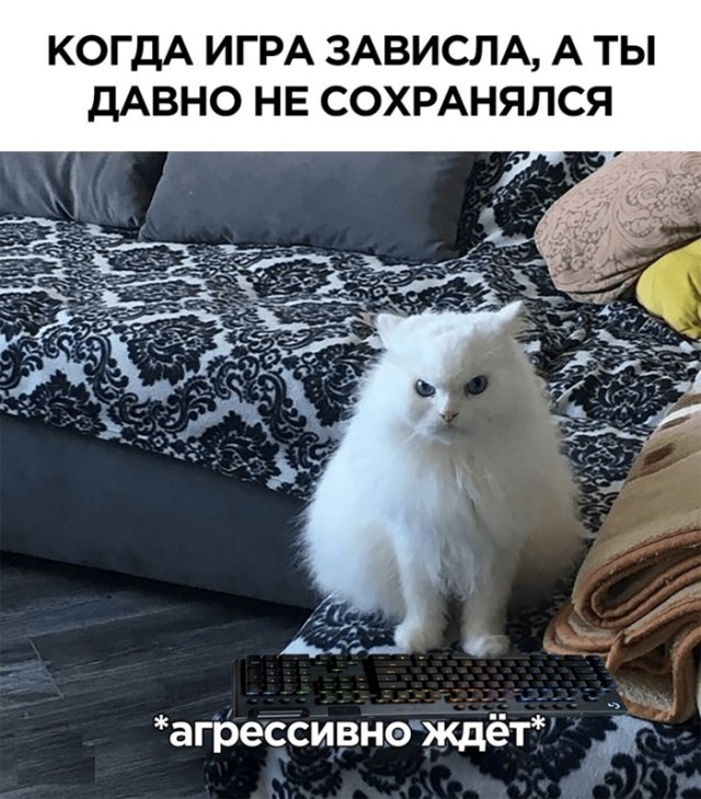 Картинки с надписями и всякие жизненные фразы 1.05.21