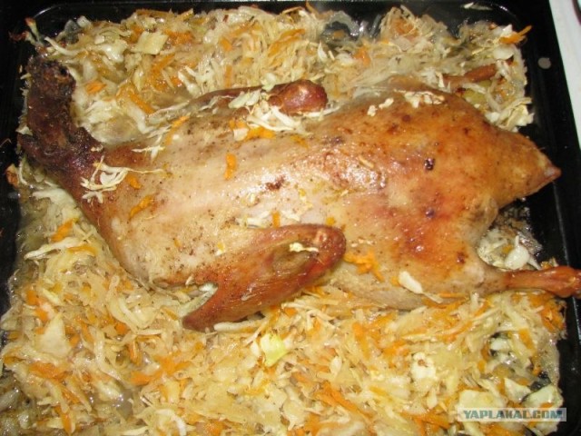 Утка по Дженибековски