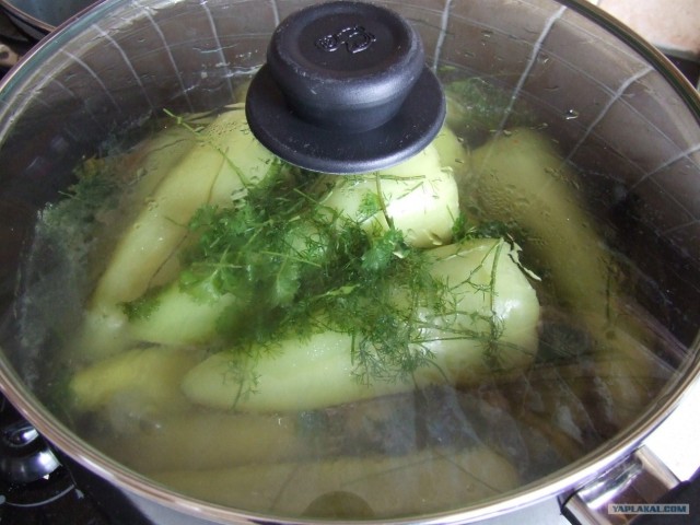 Очень кушать хочется.