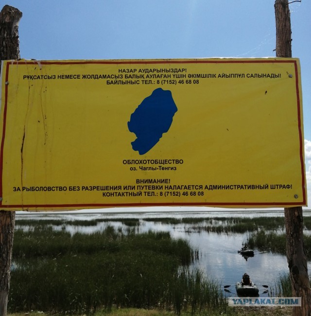 Рыбалка на отводной поводок