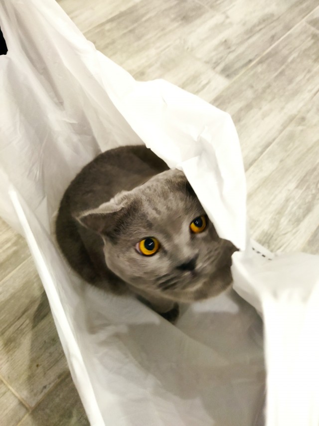 Вот и я стал рабом