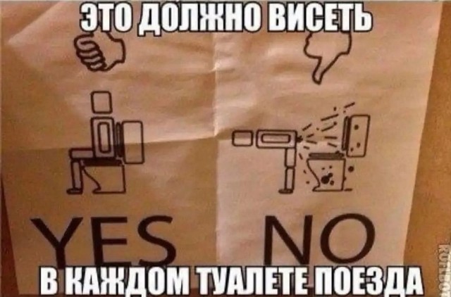 Выпь