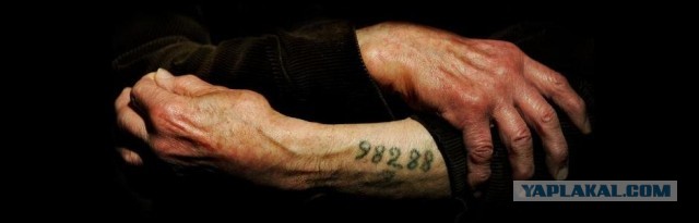 Основные документы россиян — паспорт, загранпаспорт, СНИЛС и ИНН — предложили объединить в один