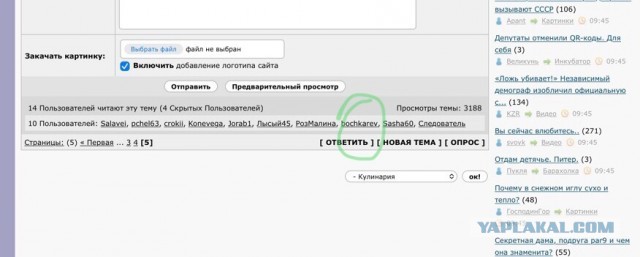 Люблю кальмаров:) и салат из них