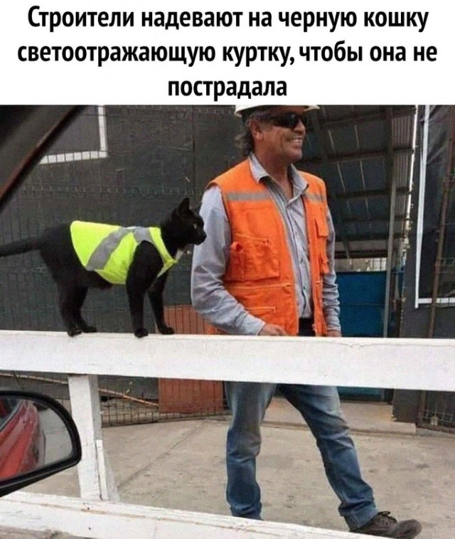 Картинки и мемы для настроения - 21