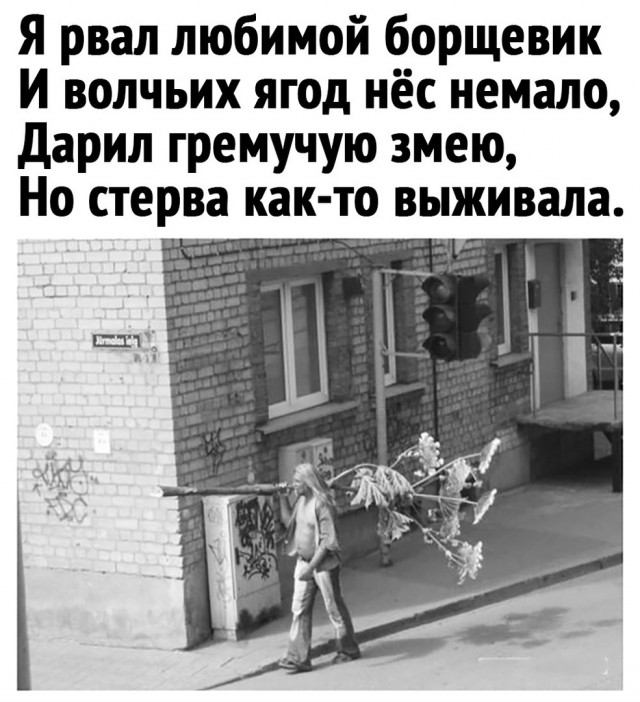 Так себе картинки 09.06.22