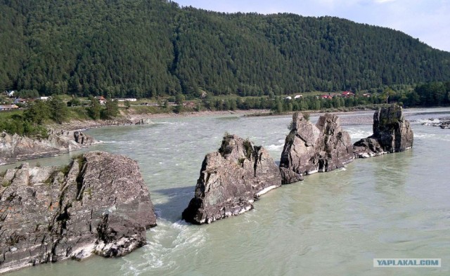 Путешествие на Алтай