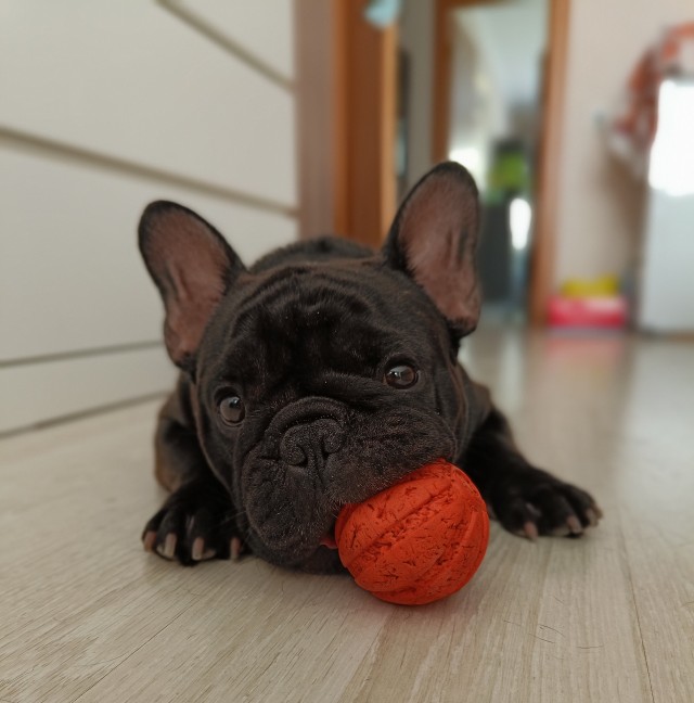 Нам уже 3 месяца