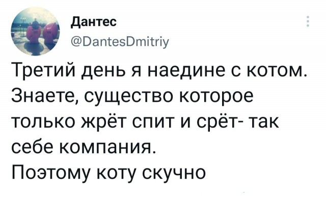 Пандемия съехавших крыш - разновидности болезни. Россия и мир. Часть 45.