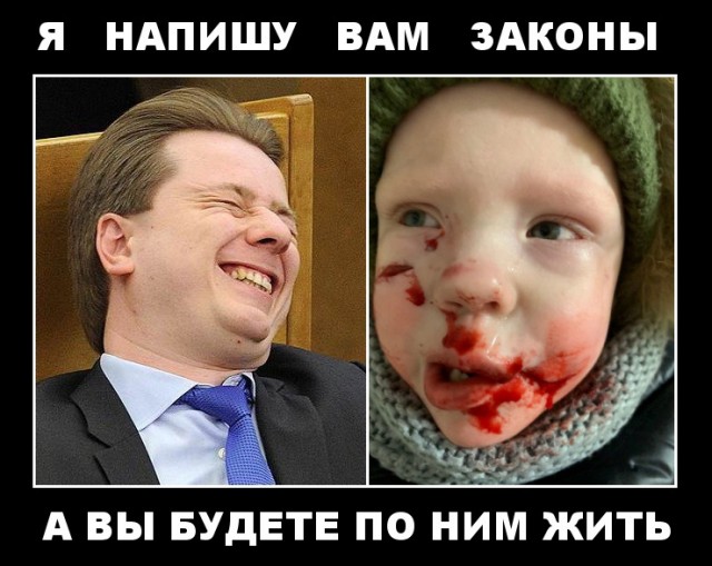 В ХМАО признали абсолютную неработоспособность «собачьего закона» Бурматова