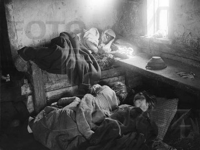 Попробовала устрицы