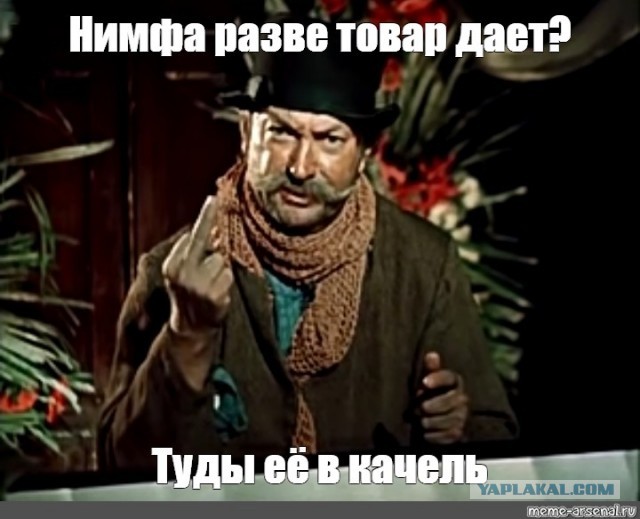 Всё, никаких больше грибов! Укусил клещ