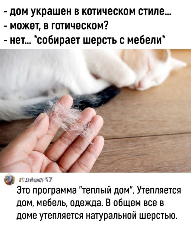 Забавные комментарии из социальных сетей (09.10.23)