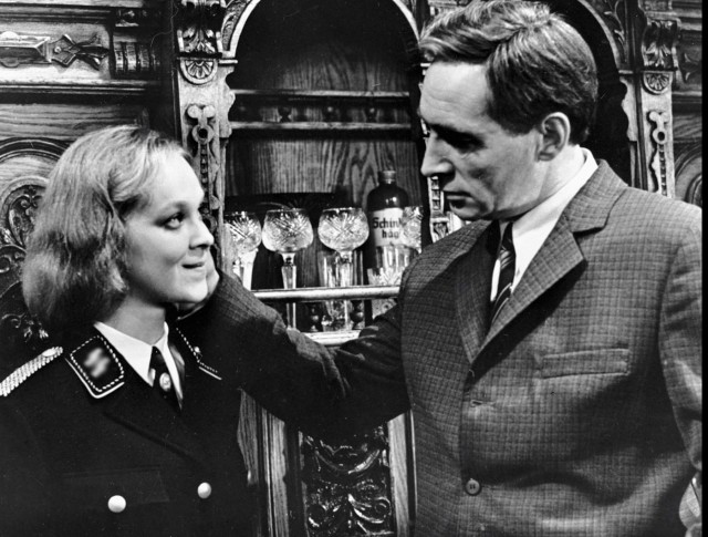 Кошка против ёлки