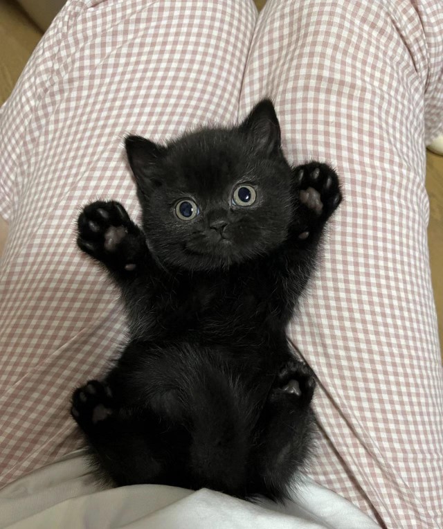 Страшна, вырубай!