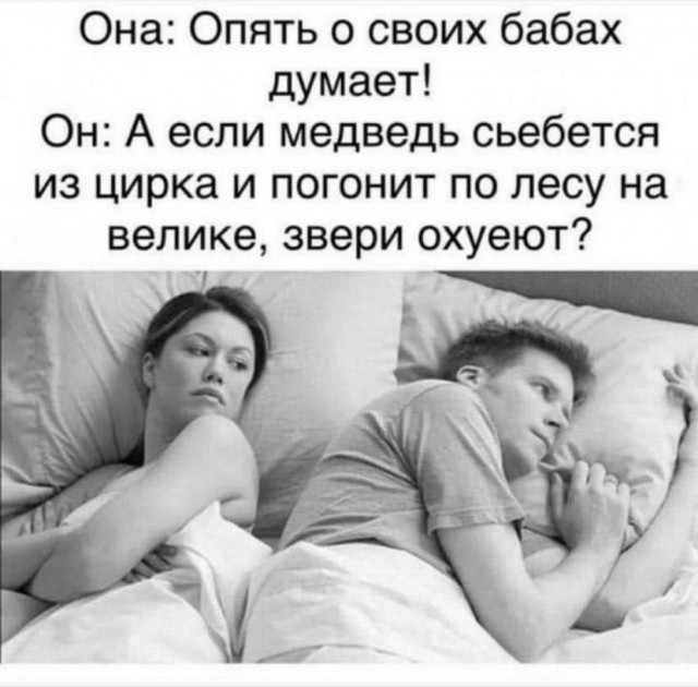 Всего понемногу. От 29.01.24