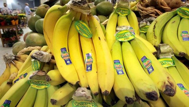 Индия начала поставлять бананы в Россию