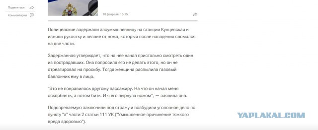 В Подмосковье девушка напала на пассажира электрички из-за пристального взгляда