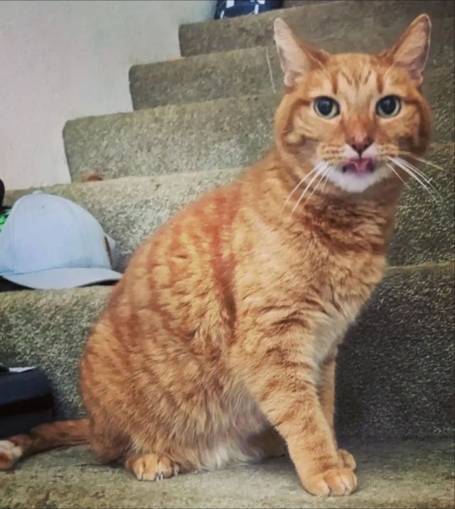 ФотоВинегрет