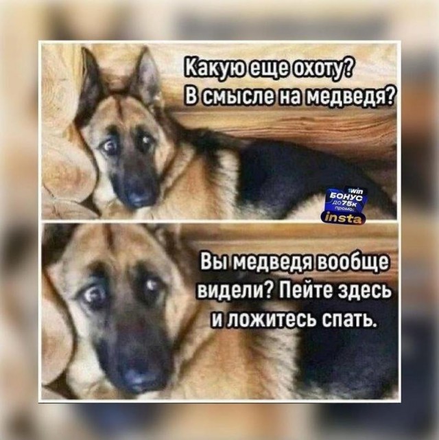 Приехали с охоты вместе с добычей