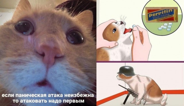 Деградильня