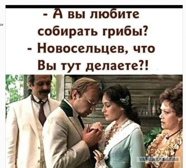 Завалялось тут случайно немного забавных картинок