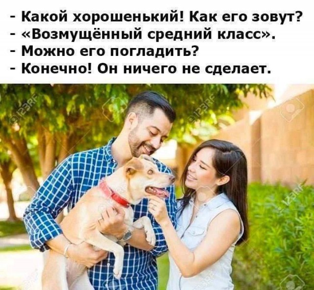 Сборник бабаянов или неожиданная помойка.