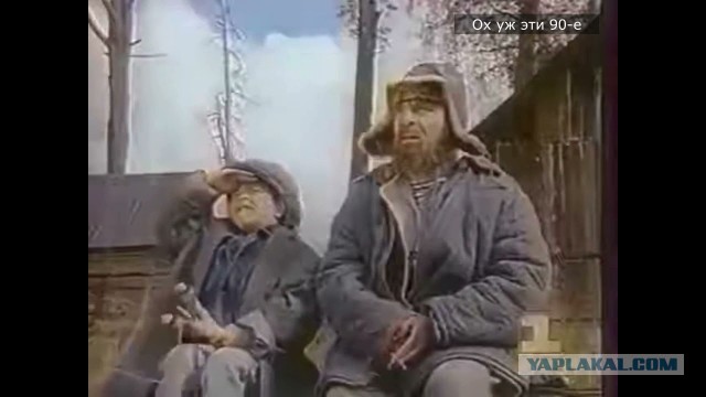 Как выглядит самолет после столкновения со стаей птиц