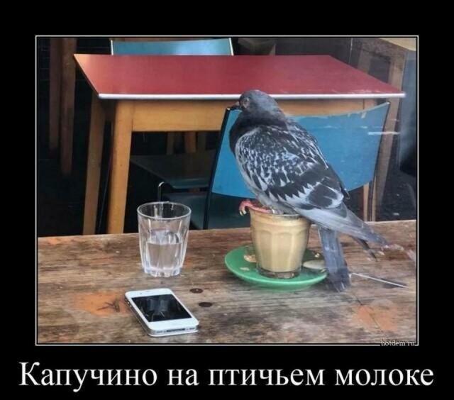 Подпеваем и деградируем вместе