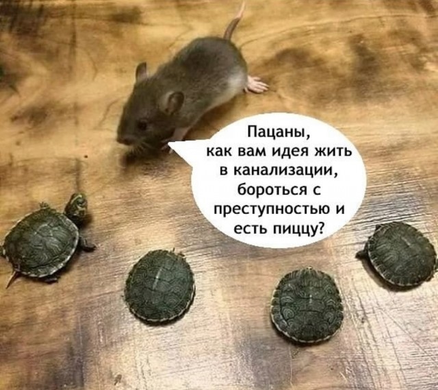 Завалялось тут случайно немного забавных картинок